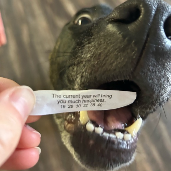 Meet your Posher, Jessica - Picture 6 of 6